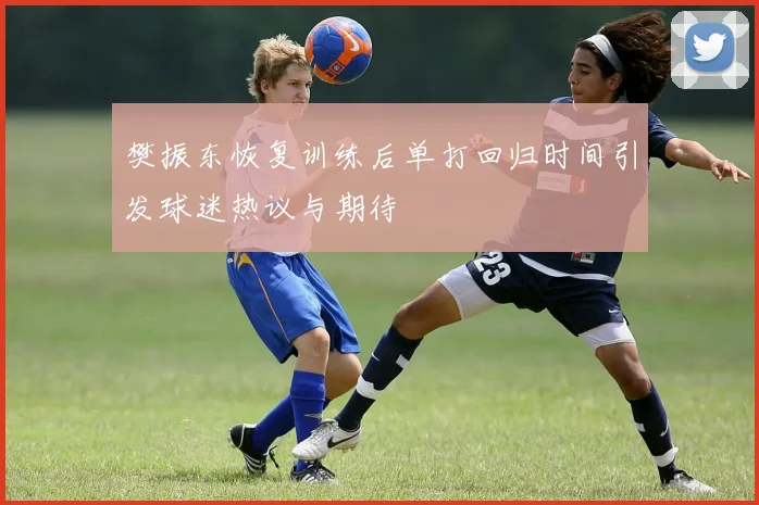 樊振东恢复训练后单打回归时间引发球迷热议与期待