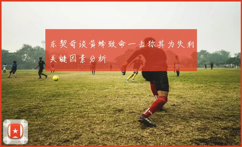东契奇谈黄蜂致命一击称其为失利关键因素分析